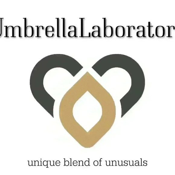 Spiral earrings dangle bohemian boho minimalist jewelry for women - Picture 11 of 11